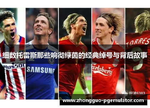 细数托雷斯那些响彻绿茵的经典绰号与背后故事