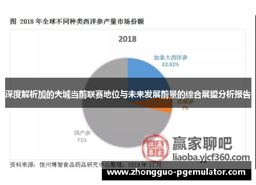 深度解析加的夫城当前联赛地位与未来发展前景的综合展望分析报告
