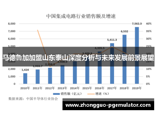 马德鲁加加盟山东泰山深度分析与未来发展前景展望