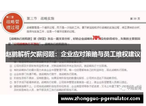 赵鹏解析欠薪问题：企业应对策略与员工维权建议