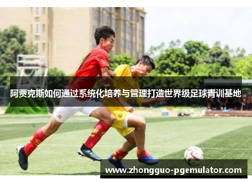 阿贾克斯如何通过系统化培养与管理打造世界级足球青训基地
